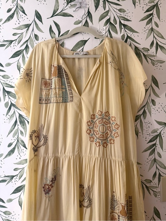 Zara Dresses & Skirts - Zara Embroidered Maxi Dress